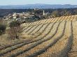 Village Of Entrevennes, Provence, Seen Across A Field Of Young Plants by Stephen Sharnoff Limited Edition Pricing Art Print