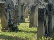 Gravestones At Odd Angles In A Cemetery In Provence, France by Stephen Sharnoff Limited Edition Print