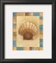 Seashell I by Albena Hristova Limited Edition Print
