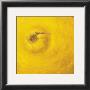 Top Of Lemon by Klaus Gohlke Limited Edition Print