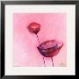 Poppy Sweet Ii by Erika Heinemann Limited Edition Print