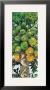 Papaya by Penny Gupton Limited Edition Pricing Art Print
