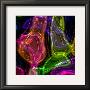 Candy I by Jean-Francois Dupuis Limited Edition Print