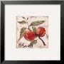 Fruit From The Branch Iv by Kate Mcrostie Limited Edition Pricing Art Print