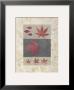 Red Maple by Denise Duplock Limited Edition Print