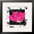 Damask Tulip Ii by Pamela Gladding Limited Edition Print