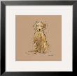 Doggy Tales Vi by Clare Ormerod Limited Edition Pricing Art Print