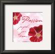 Passion by Paula Scaletta Limited Edition Print