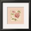 Rose On Acanthus by Cheri Blum Limited Edition Print