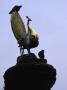 Golden Bird Statue, Nepal by Michael Brown Limited Edition Print