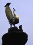 Golden Bird Statue, Nepal by Michael Brown Limited Edition Pricing Art Print