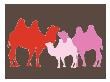 Pink Camel by Avalisa Limited Edition Print