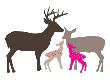 Pink Deer by Avalisa Limited Edition Print