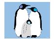 Blue Penguins by Avalisa Limited Edition Pricing Art Print