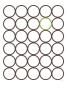 Brown Green Circles by Avalisa Limited Edition Print
