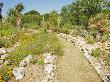 Large Dry Garden, East Ruston, Norfolk, Uk by Gary Smith Limited Edition Print