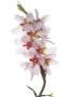 Almond Blossom Spain by Niall Benvie Limited Edition Print