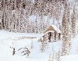 Shack In Snow by Dick Dietrich Limited Edition Pricing Art Print