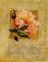 Celtic Rose by Nancy Azneer Limited Edition Print