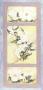 Magnolia And Cherry Blossom by Deborah K. Ellis Limited Edition Print