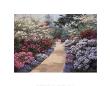 Spring Path by Diane Romanello Limited Edition Pricing Art Print