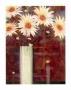 Chrysanthemums by Richard Henson Limited Edition Print