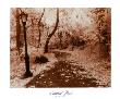 Central Park by Alan Klug Limited Edition Print