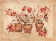 Potted Roses Ii by Cheri Blum Limited Edition Pricing Art Print
