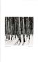 Untitled (Birch Trees) by Morry Katz Limited Edition Print
