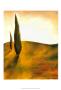 Study At Sunset Ii by Jennifer Goldberger Limited Edition Pricing Art Print