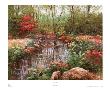 Ardsley Wood by Charles Zhan Limited Edition Print