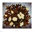 Magnolia Blossoms by Josephine Joy Limited Edition Print