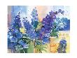 Graphic Flowers Viii -  E by Brita Schwarz Limited Edition Pricing Art Print