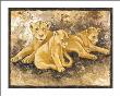 Family Of Lions by Philippe Genevrey Limited Edition Pricing Art Print