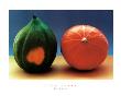 Organics by Ella Doran Limited Edition Pricing Art Print