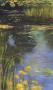 Garden Pond Ii by Carol Rowan Limited Edition Print