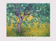 Apple Tree by Christiane Kubrick Limited Edition Print