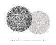 Love Discs I And Ii by Hadieh Shafie Limited Edition Print