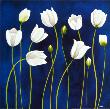 Tulipani Danzanti by Maria Grazia Luffarelli Limited Edition Pricing Art Print