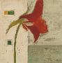 Blumen I by Richter-Armgart Limited Edition Print
