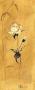 Golden Flower Iv by Paul Hargittai Limited Edition Pricing Art Print