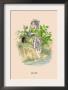 Lilas by J.J. Grandville Limited Edition Print