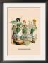Traite Des Fleurs by J.J. Grandville Limited Edition Print