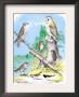 American Lanier Falcon by Theodore Jasper Limited Edition Print