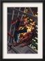 Marvel Age Spider-Man #15 Cover: Spider-Man And Daredevil by Roger Cruz Limited Edition Print