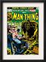 Man-Thing #16 Cover: Man-Thing by Val Mayerik Limited Edition Print