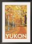 Yukon, Canada - Fall Colors, C.2009 by Lantern Press Limited Edition Print
