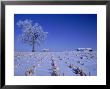 Snow Covered Farm And Landscape, Lamont, Ia by Stephen Gassman Limited Edition Print