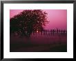 U Bein Bridge, Mandalay, Myanmar by Grayce Roessler Limited Edition Print