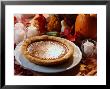 Pumpkin Pie For Thanksgiving by Kindra Clineff Limited Edition Pricing Art Print